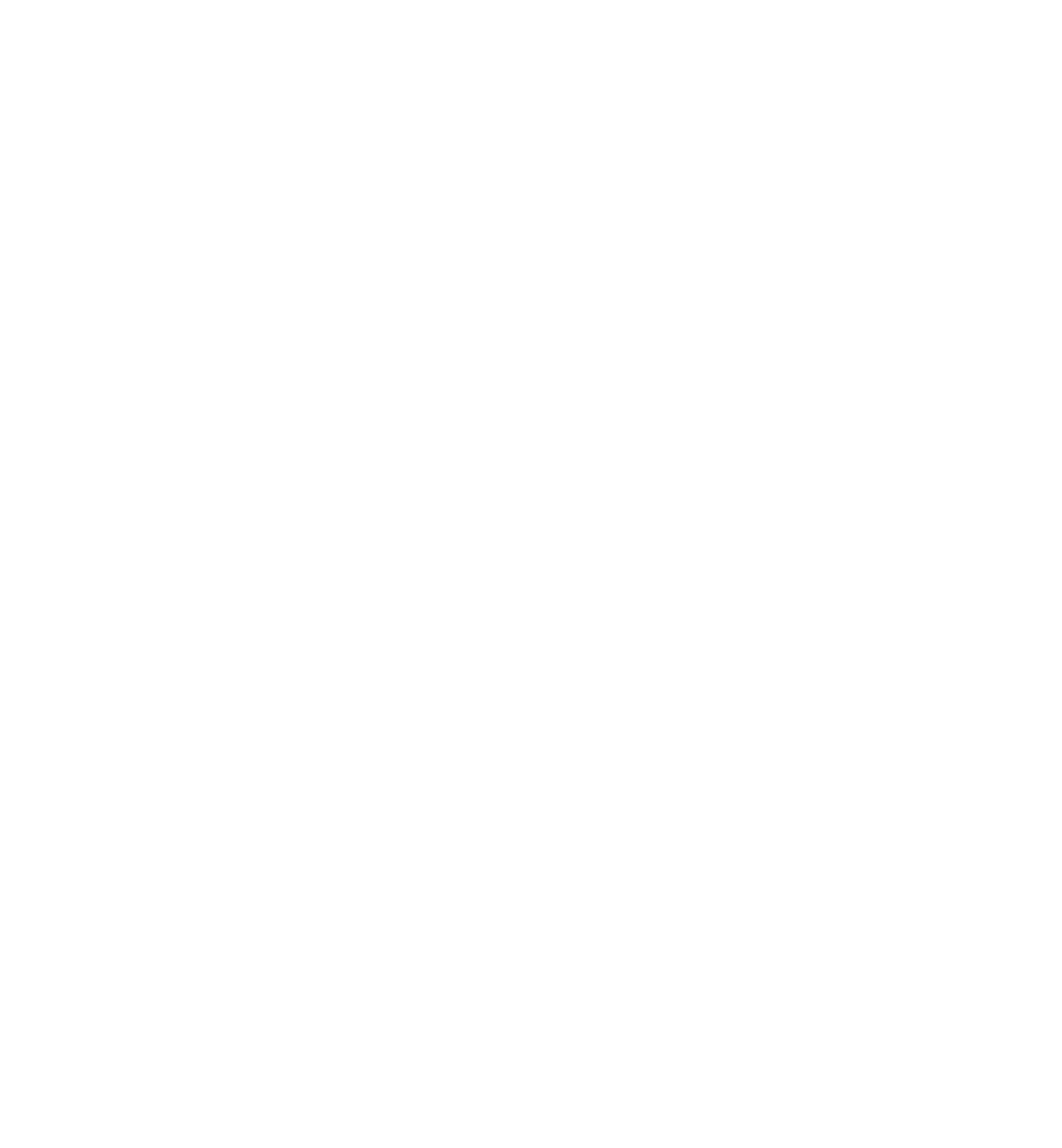 BA Buddy Logo in white